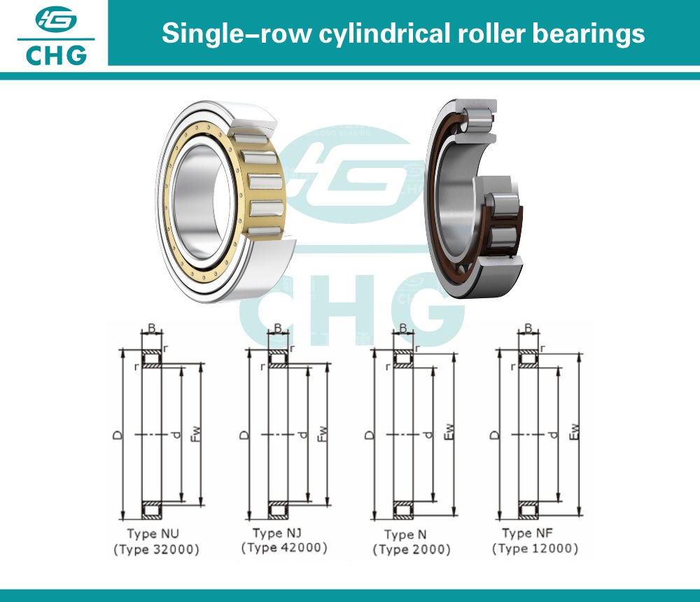Single Row Cylindrical Roller Bearing